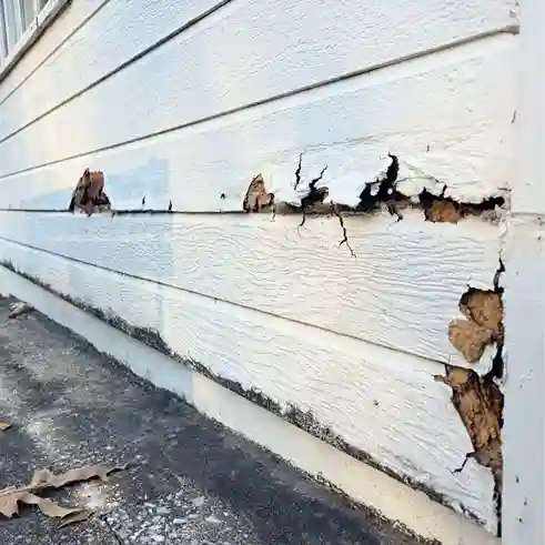 Damaged siding showing signs of needing replacement
